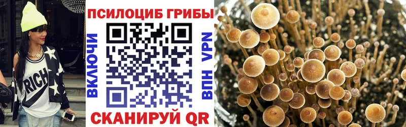 Галлюциногенные грибы MAGIC MUSHROOMS  Верхний Уфалей 