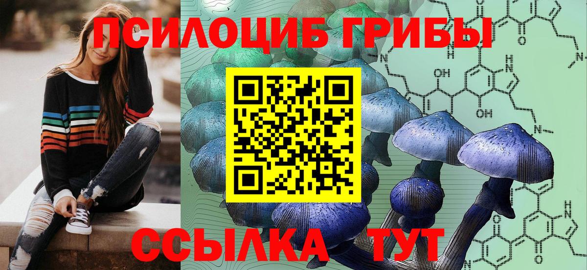 Галлюциногенные грибы Magic Shrooms  Вход с VPN  Псилоцибиновые грибы GOLDEN TEACHER  Верхний Уфалей 